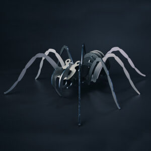 puzzle 3D araignée face le_forg3ron